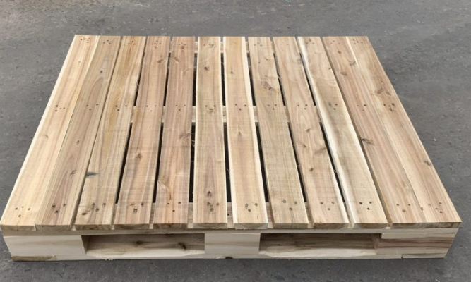 Pallet Gỗ Kê Hàng Trong Kho Lạnh 6 Giải Pháp Tối Ưu Cho Việc Lưu Trữ Hàng Hóa